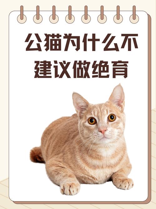 【台湾辱华疫情/台湾疫情惨状】-第6张图片