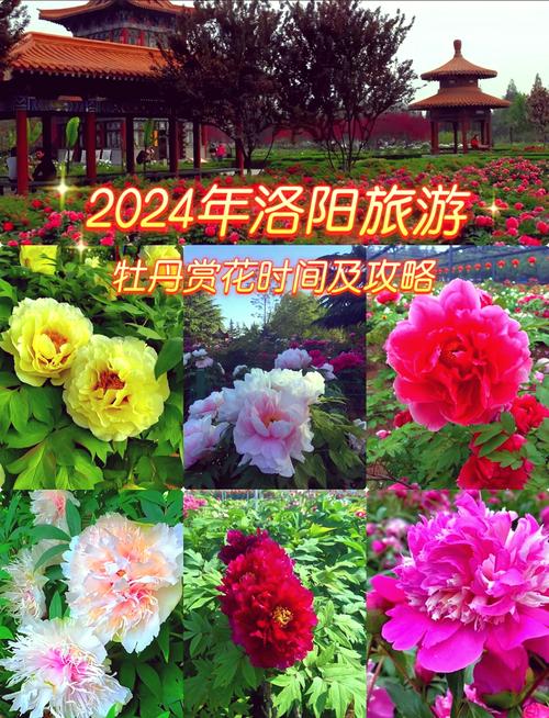 长春路限号，长春市那条路限号-第5张图片