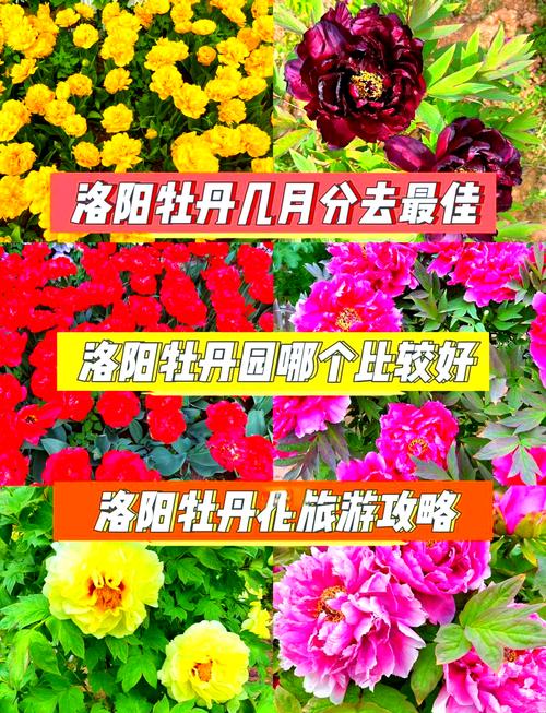 长春路限号，长春市那条路限号-第6张图片