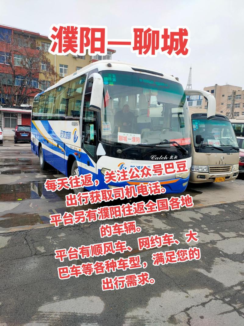 聊城市外地车限行/聊城哪里限行-第2张图片 聊城市外地车限行/聊城哪里限行-第2张图片