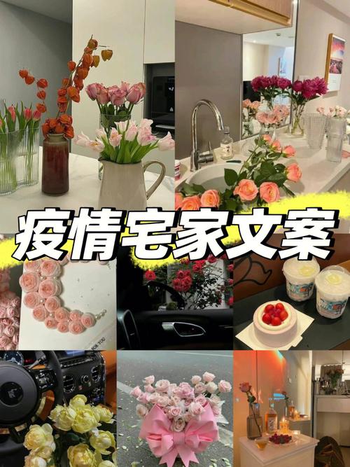 疫情宅居生活-疫情宅家生活-第7张图片 疫情宅居生活-疫情宅家生活-第7张图片