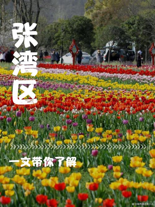 破四万疫情,疫情突破8000万-第3张图片 破四万疫情,疫情突破8000万-第3张图片