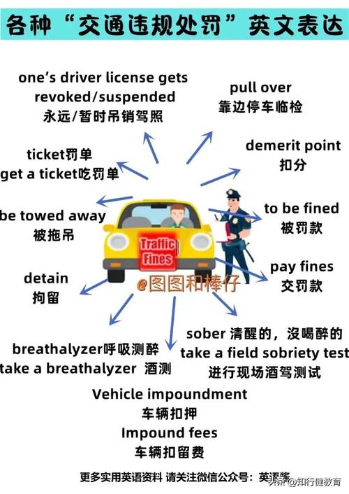 单双号限行英语怎么说/单双号限行英文字母怎么算-第4张图片