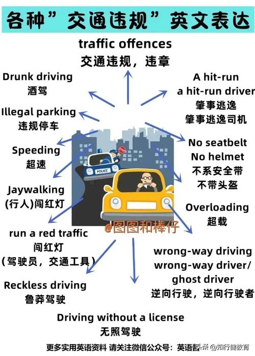 单双号限行英语怎么说/单双号限行英文字母怎么算-第6张图片