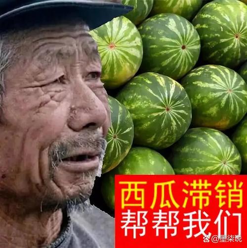疫情滞销蔬菜-疫情滞销的农产品-第3张图片 疫情滞销蔬菜-疫情滞销的农产品-第3张图片