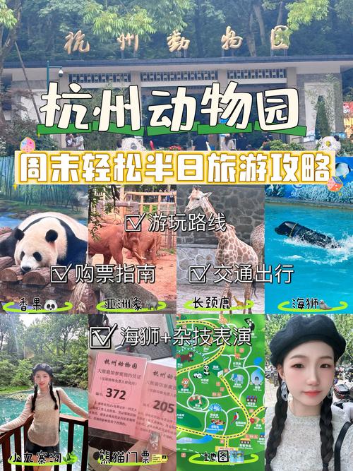 杭州今日景区限行尾号/杭州今天景区限行单号还是双号-第3张图片 杭州今日景区限行尾号/杭州今天景区限行单号还是双号-第3张图片