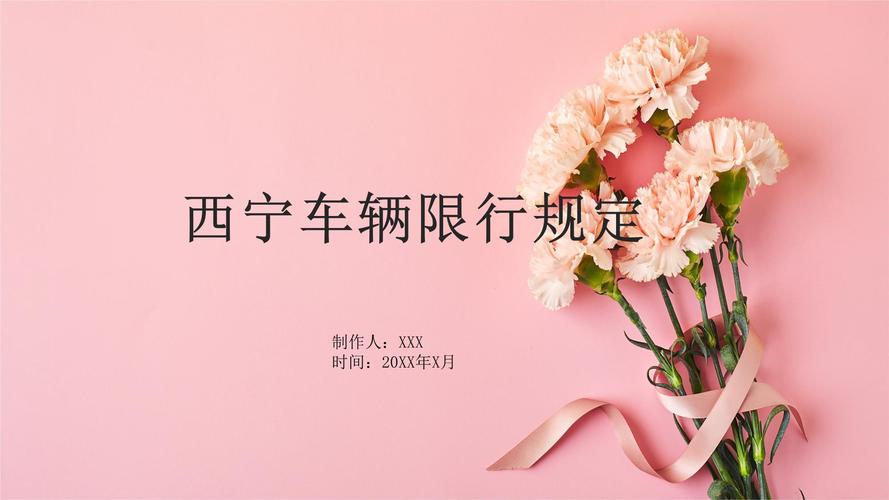 青海限号吗，青海有限号吗-第7张图片