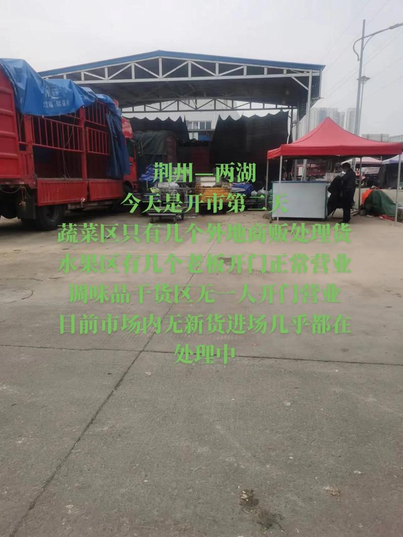 荆州市外地车辆限行-荆州怎么限行-第8张图片