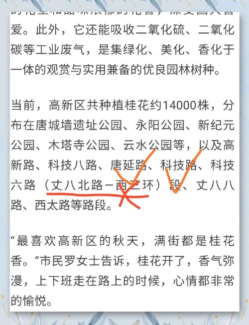 深圳9月1日限行,深圳9月1日限行吗-第5张图片 深圳9月1日限行,深圳9月1日限行吗-第5张图片