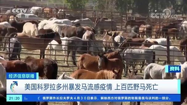 【美国疫情消毒/美国消毒供应中心协会】-第3张图片 【美国疫情消毒/美国消毒供应中心协会】-第3张图片