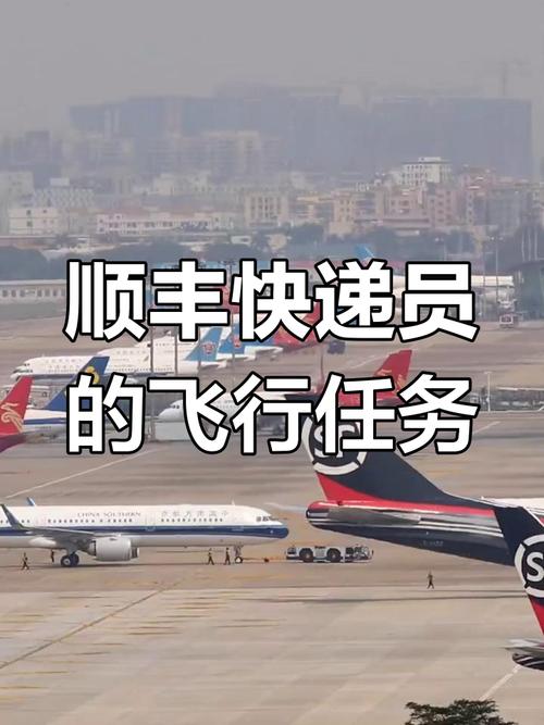 息县疫情顺风/信阳息县顺丰快递电话号码-第4张图片