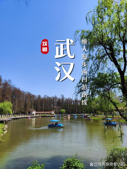 武汉疫情吧/武汉疫情壮壮-第4张图片