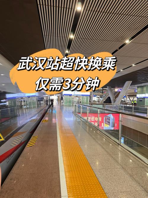 武汉疫情吧/武汉疫情壮壮-第6张图片