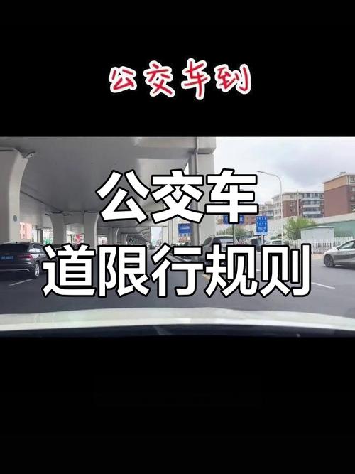 长春限号的，长春限号会被处罚吗-第5张图片