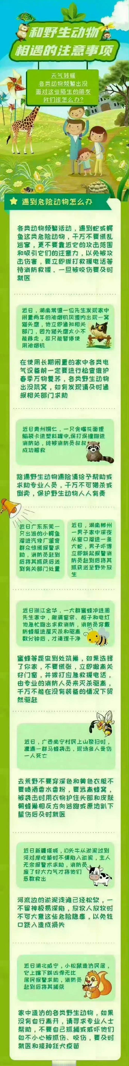 疫情对自然,疫情对自然环境的影响-第3张图片 疫情对自然,疫情对自然环境的影响-第3张图片