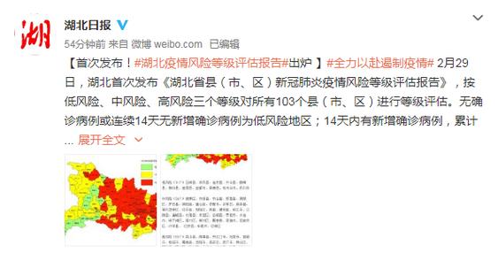 疫情评估意见-疫情评估意见书