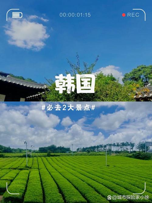 关于“韩国当前疫情数量”你不知道的事-第4张图片 关于“韩国当前疫情数量”你不知道的事-第4张图片