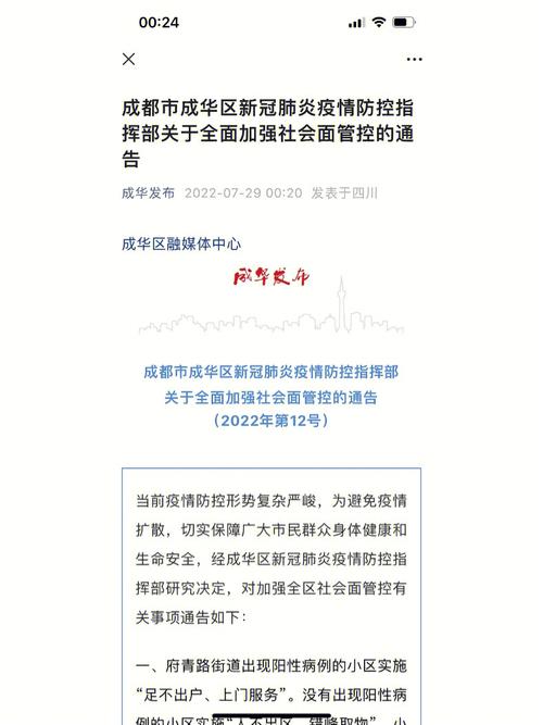 关于“肺冠疫情文件”你不知道的事-第3张图片