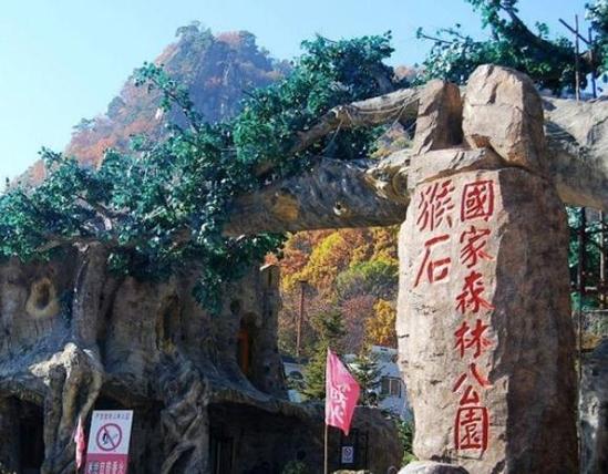 辽宁疫情29人/辽宁疫情21例-第3张图片 辽宁疫情29人/辽宁疫情21例-第3张图片