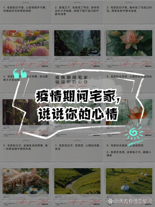 疫情宅家说说,疫情宅家心情-第7张图片 疫情宅家说说,疫情宅家心情-第7张图片