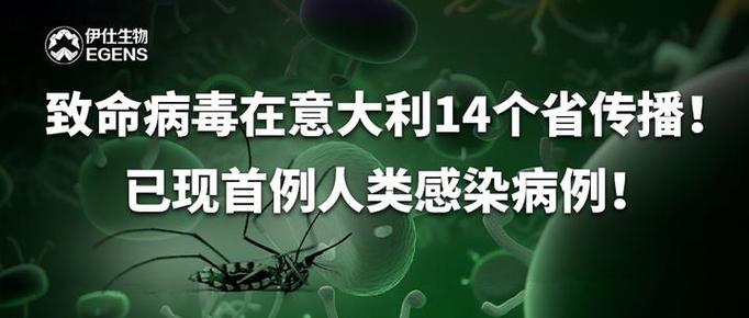 关于“国外疫情蔓延视频”你不知道的事-第7张图片 关于“国外疫情蔓延视频”你不知道的事-第7张图片