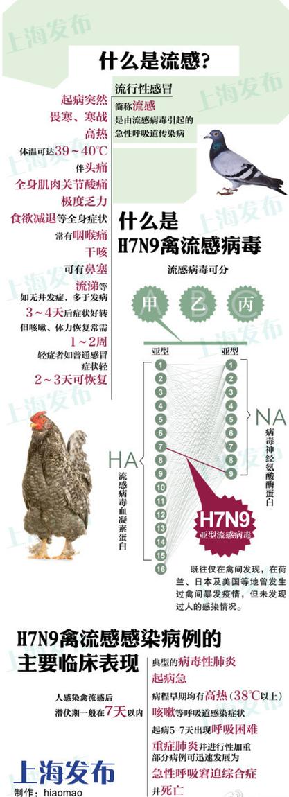 家禽对疫情/家禽疫情扑灭措施有哪些-第1张图片