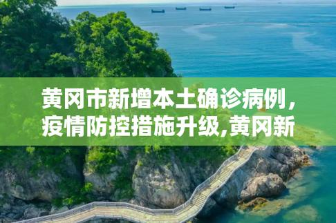 黄刚的疫情的简单介绍-第4张图片