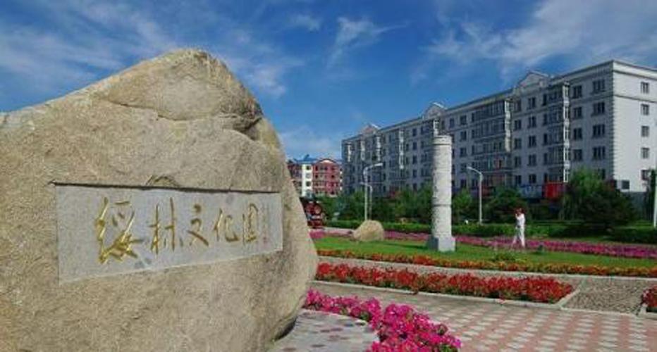 【中国绥棱疫情/绥棱疫情确诊病例】-第4张图片