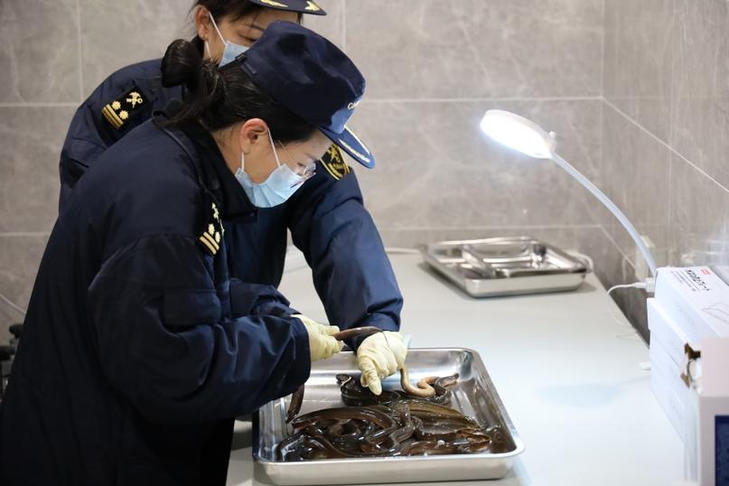 海关培训疫情/2020海关培训-第7张图片