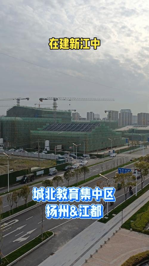 【江都疫情处分/江都疫情举报】-第3张图片 【江都疫情处分/江都疫情举报】-第3张图片