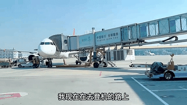云南机场疫情-云南机场新冠-第3张图片