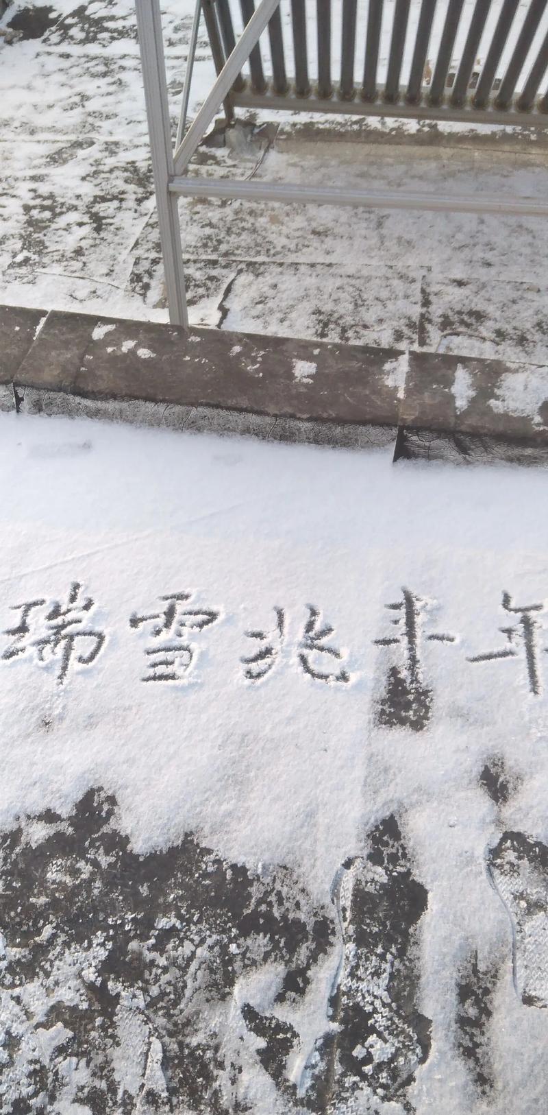 春雪对疫情-对春雪的诗句-第8张图片 春雪对疫情-对春雪的诗句-第8张图片