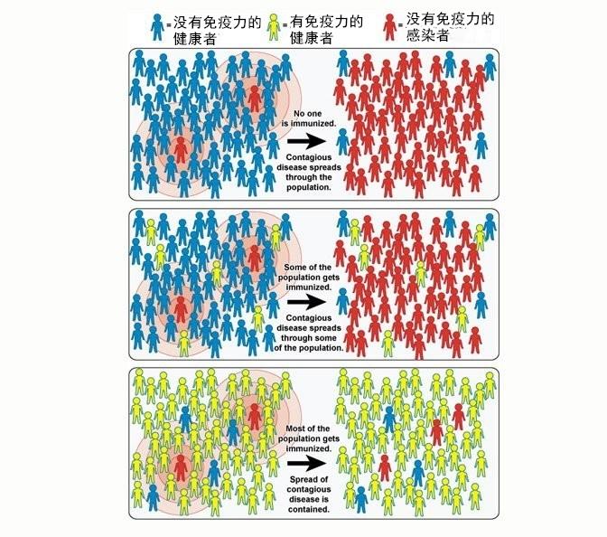 英国疫情首席/英国首相谈疫情讲话原文-第4张图片 英国疫情首席/英国首相谈疫情讲话原文-第4张图片