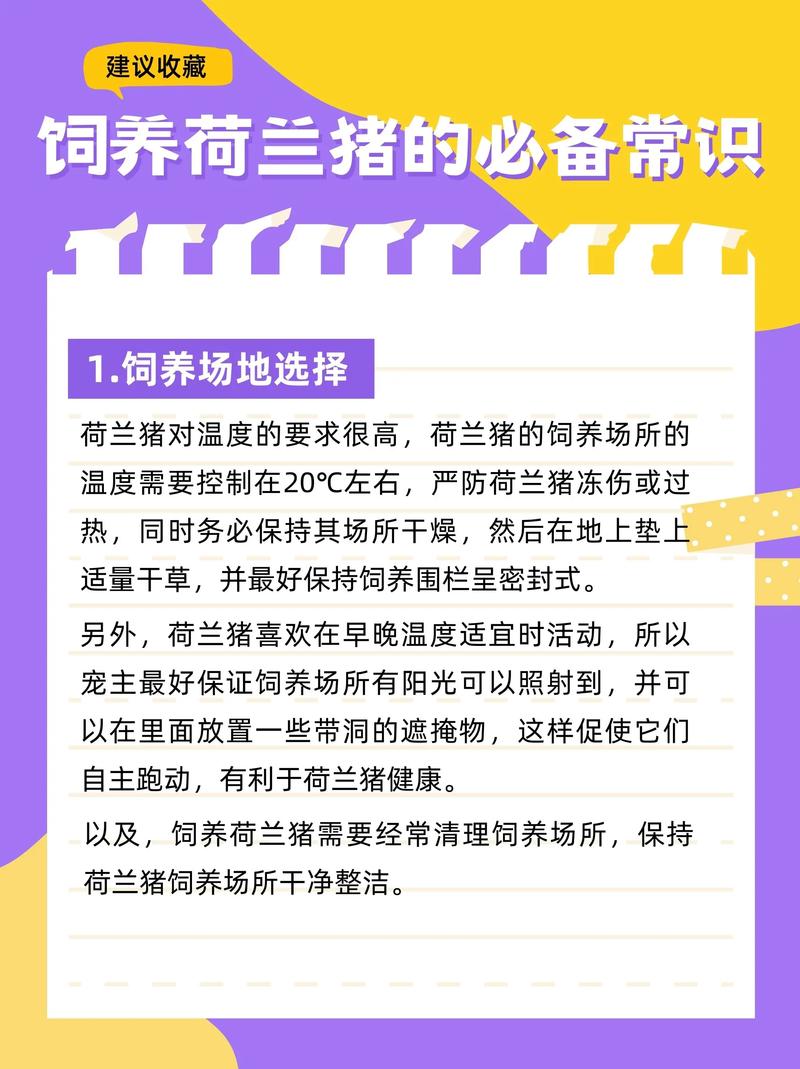 荷兰放弃疫情/荷兰疾情如何近来-第8张图片