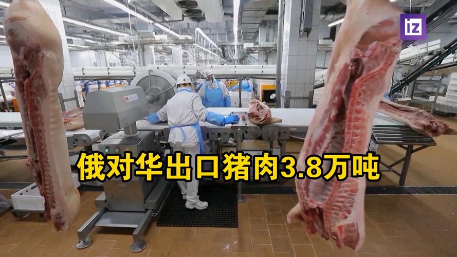 疫情猪肉出口，7000斤涉疫猪肉流入市场-第3张图片