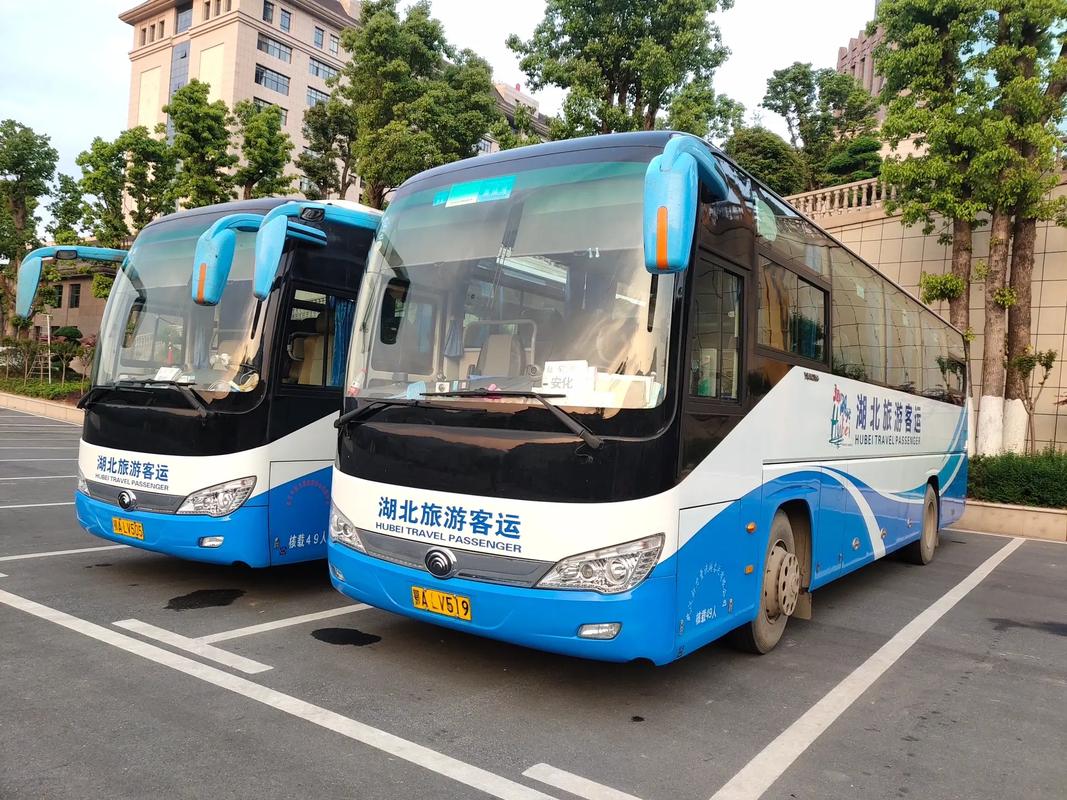 运管人疫情,运管所疫情防控工作方案-第4张图片 运管人疫情,运管所疫情防控工作方案-第4张图片
