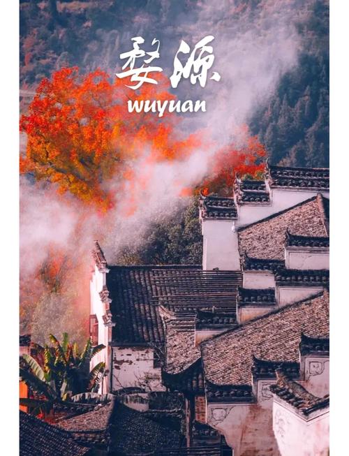 婺源疫情文件-婺源县疫情防控指挥部最新公告-第2张图片