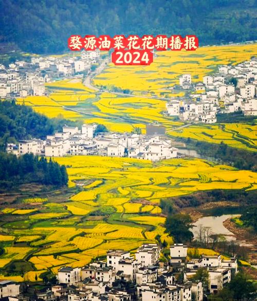婺源疫情文件-婺源县疫情防控指挥部最新公告-第3张图片