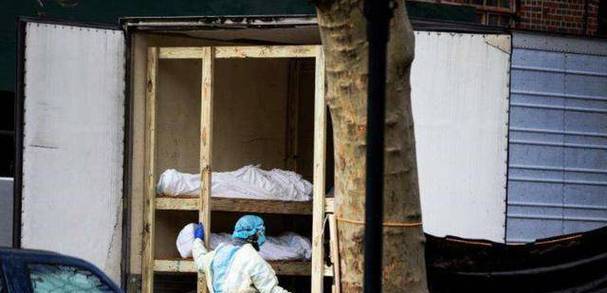 美国疫情死光/美国疫情死光了没-第2张图片