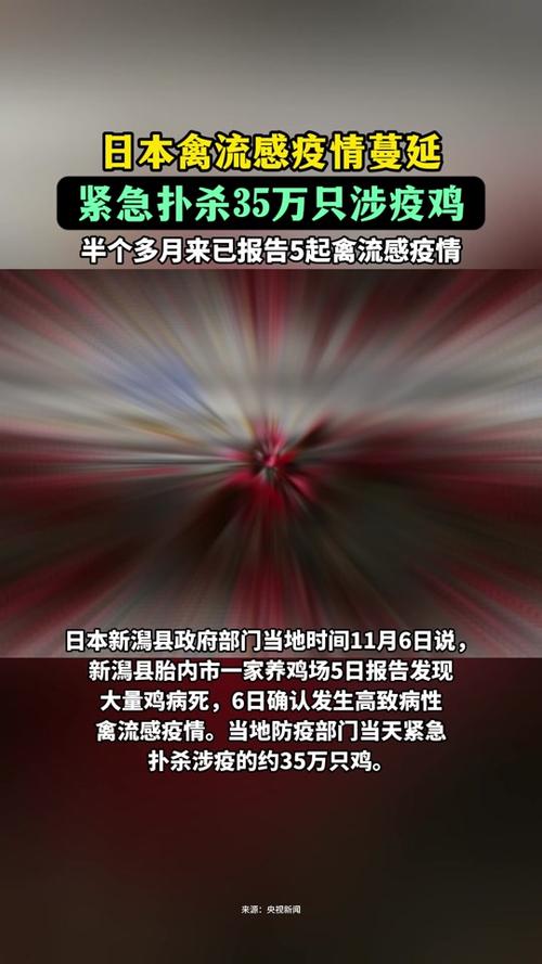 日本疫情啥样-日本疫情持续严峻-第7张图片 日本疫情啥样-日本疫情持续严峻-第7张图片