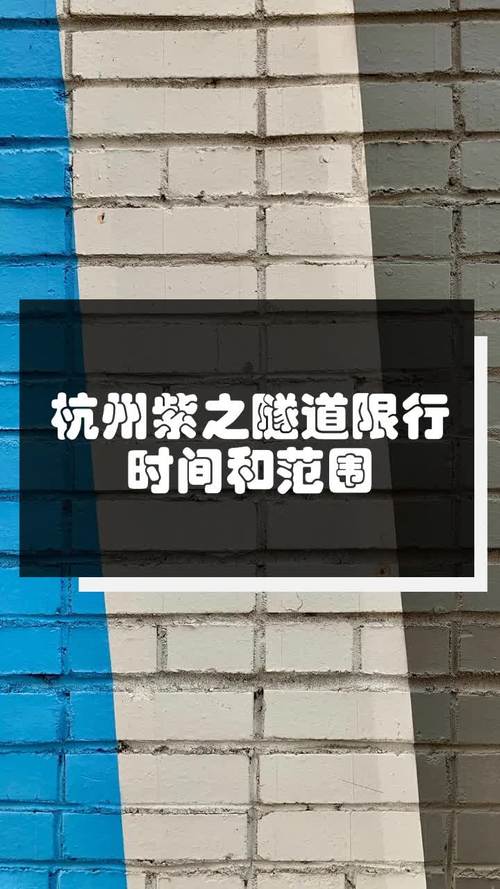 紫之隧道是否限行-紫之隧道限行吗-第5张图片 紫之隧道是否限行-紫之隧道限行吗-第5张图片