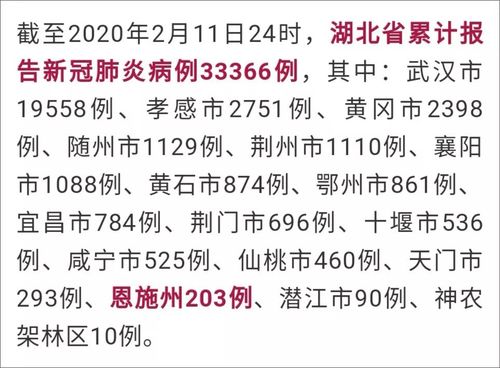 【疫情暴发日期/疫情爆发期是哪一天】-第3张图片