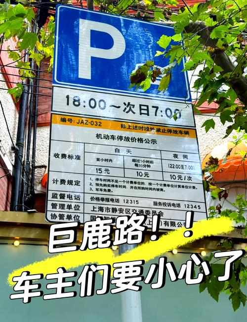 上海延安路高架限行/上海延安路高架限行吗-第9张图片 上海延安路高架限行/上海延安路高架限行吗-第9张图片