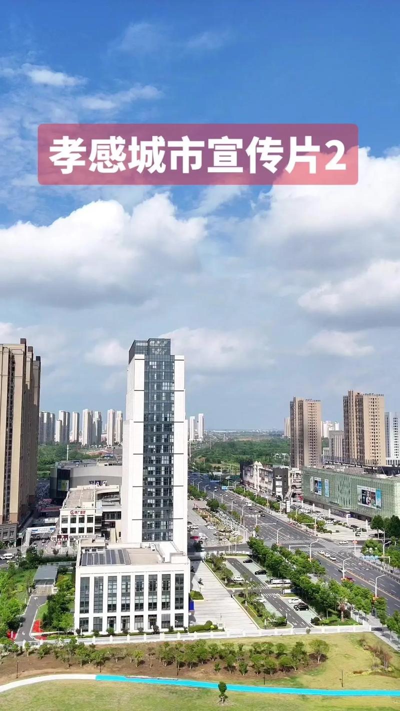【孝感城管疫情/孝感城管网站】