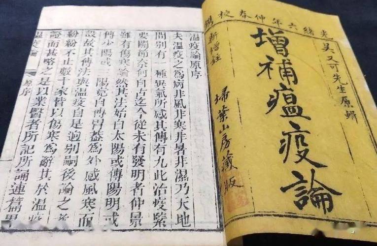 中医无法治疫情，中医无法治疫情吗-第5张图片