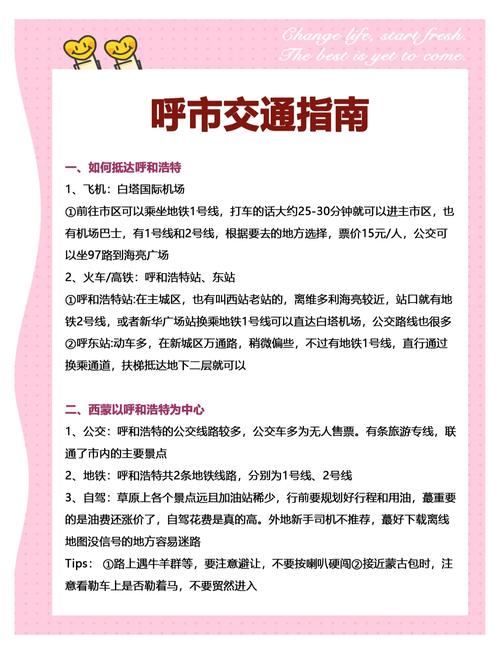 呼和浩特外地车限行/呼和浩特外地车限行最新消息-第3张图片