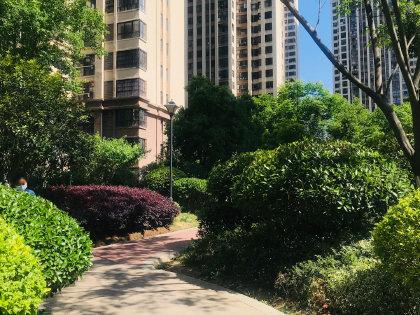 关于“蚌埠疫情解除”你不知道的事-第4张图片