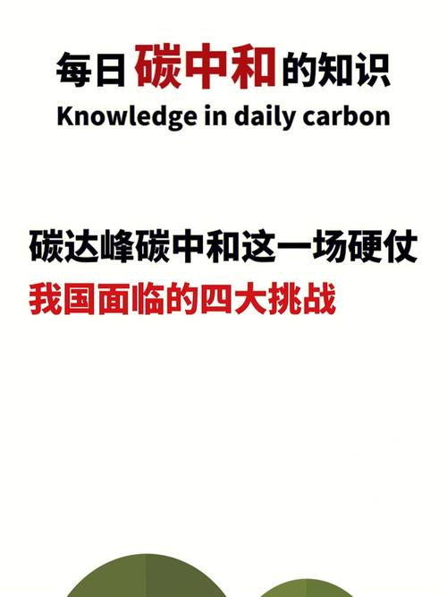 疫情困难挑战-疫情困境-第8张图片 疫情困难挑战-疫情困境-第8张图片
