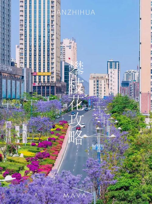 以花会疫情，以花会友分享美好是什么平台