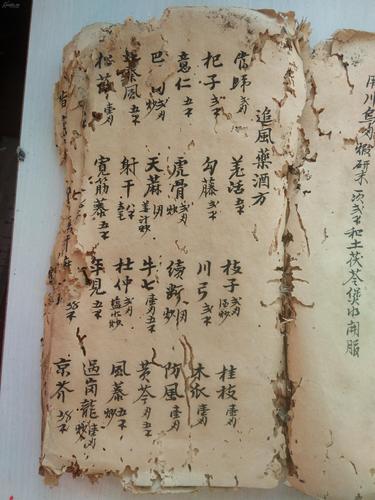 【疫情中草药/疫情中草药一览表】-第5张图片